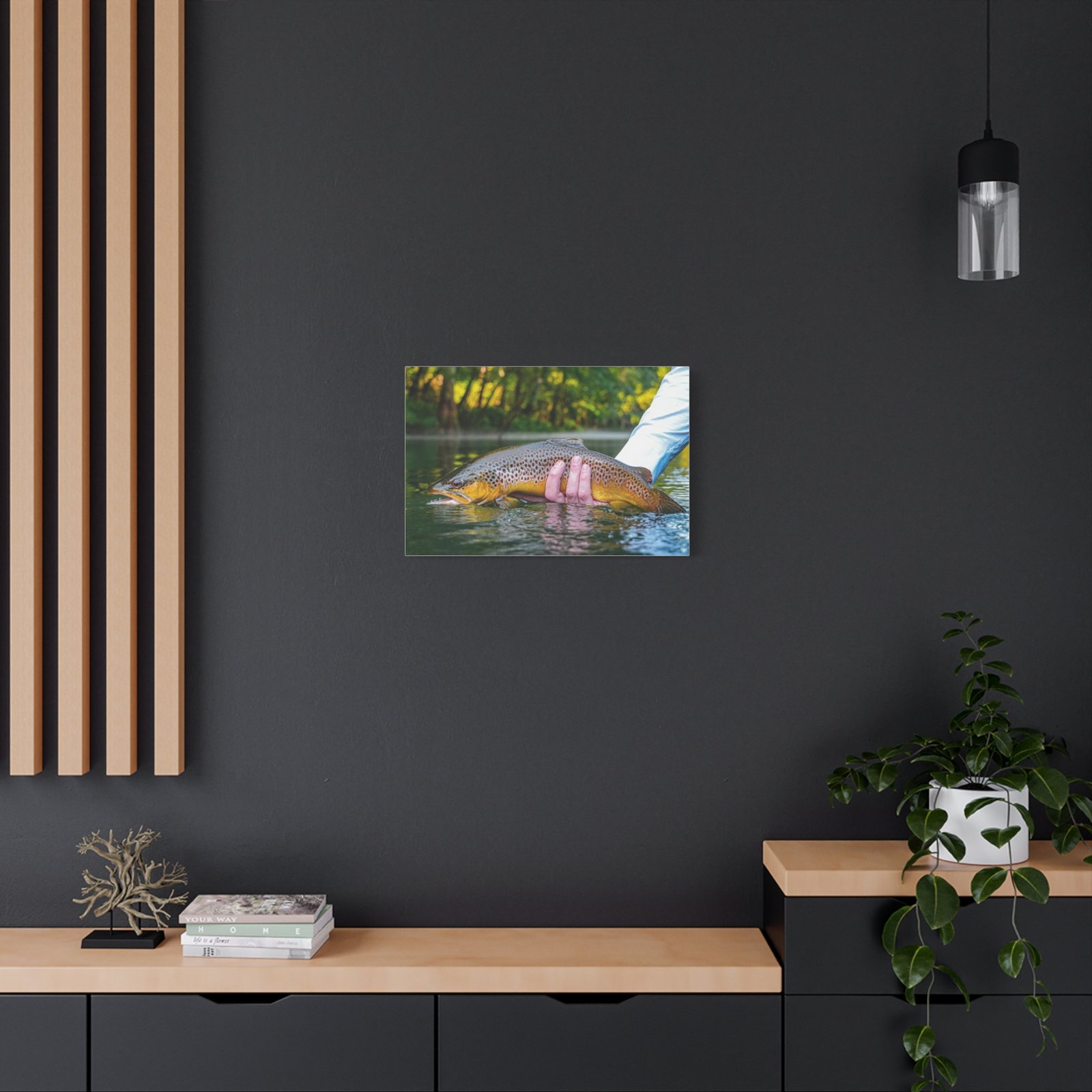 Wild Brown Trout | Little Red River | Summer 2026 - Image 8