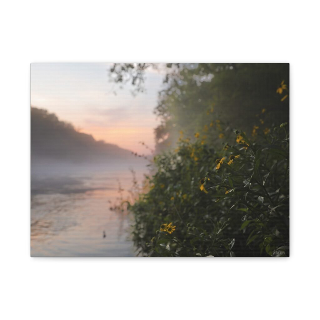 Wild Flower Sunrise| Little Red River | Summer 2026