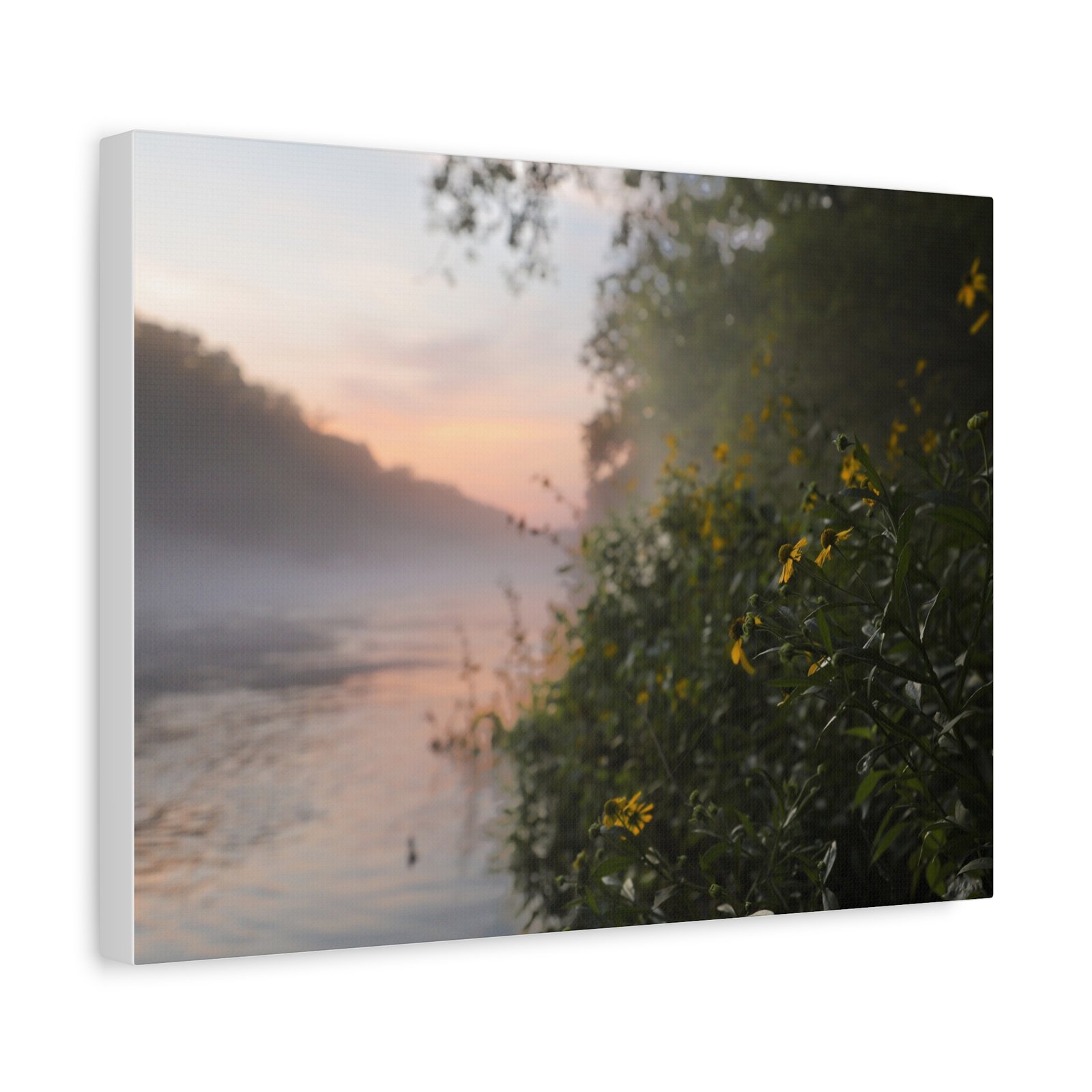 Wild Flower Sunrise| Little Red River | Summer 2026 - Image 2