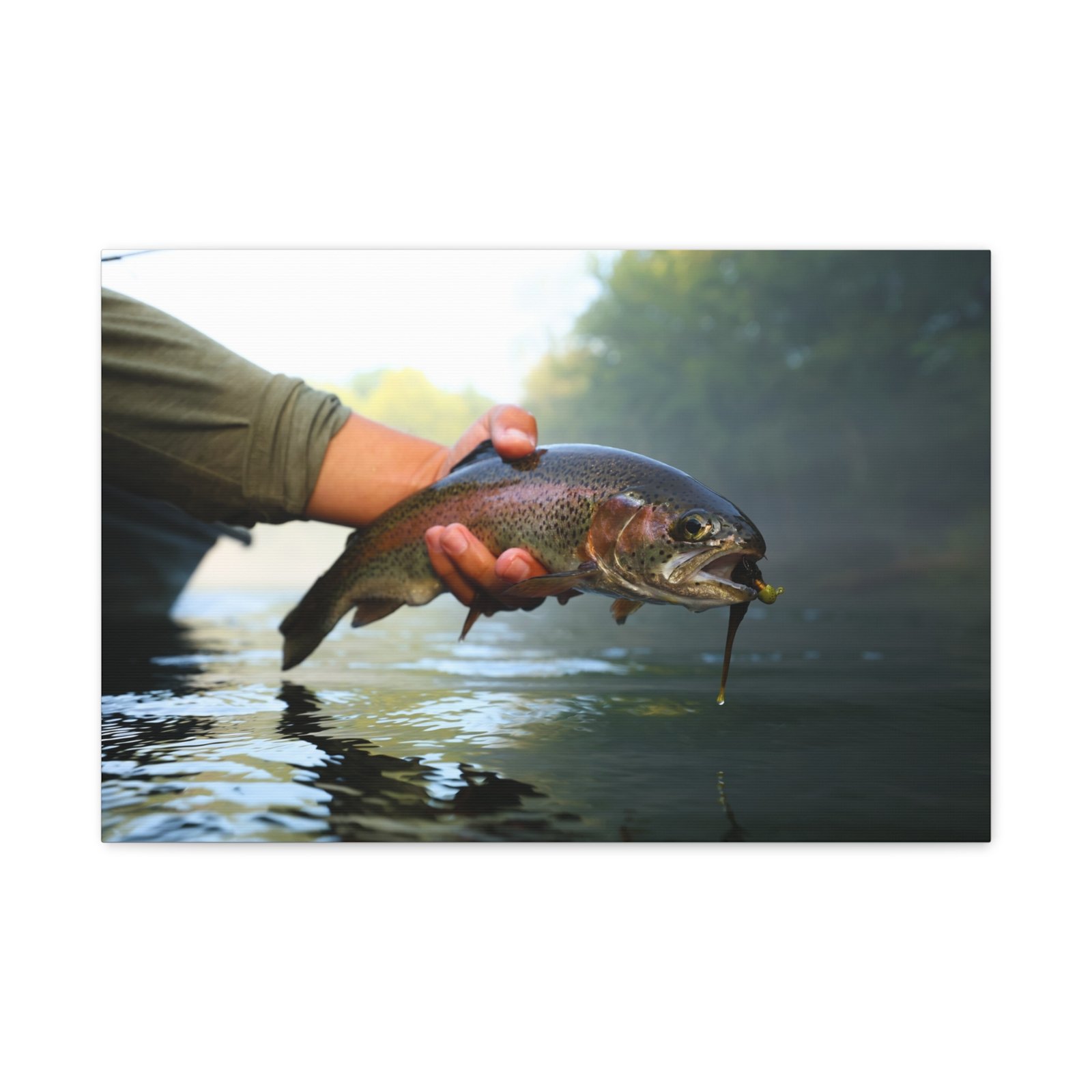 Jiggy Rainbow Trout | Little Red River | Summer 2026 - Image 5