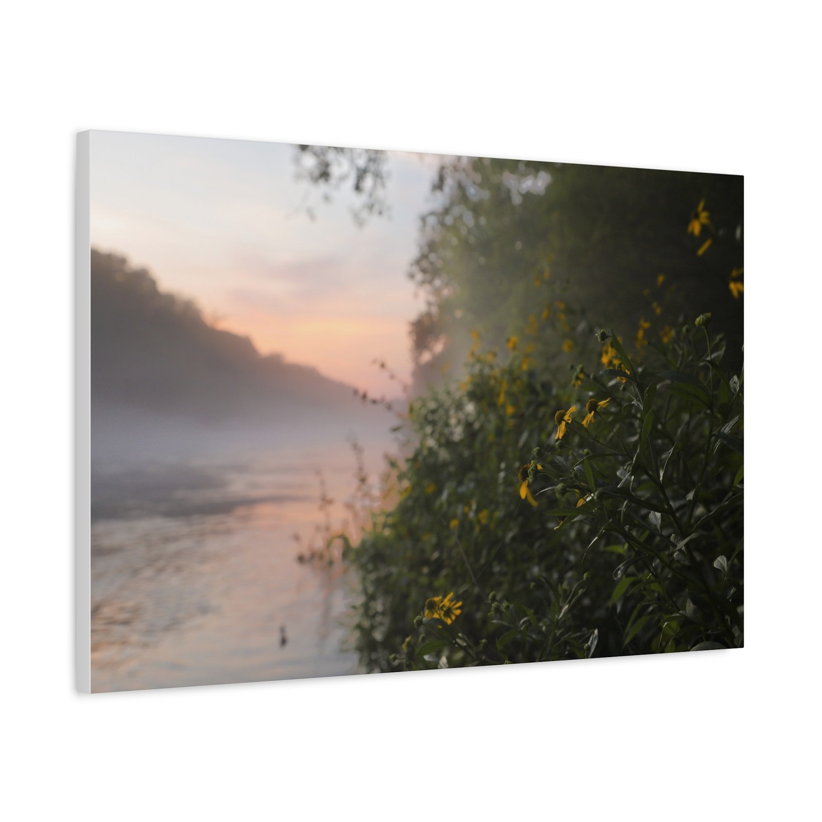 Wild Flower Sunrise| Little Red River | Summer 2026 - Image 10