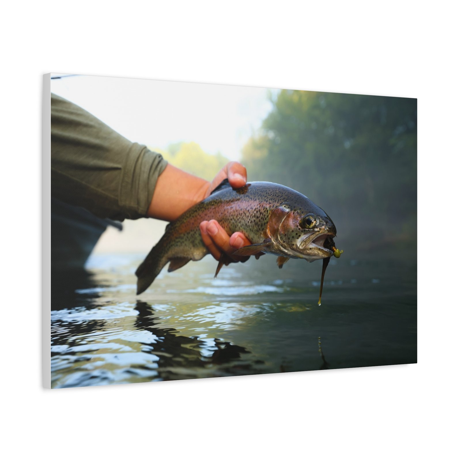 Jiggy Rainbow Trout | Little Red River | Summer 2026 - Image 10