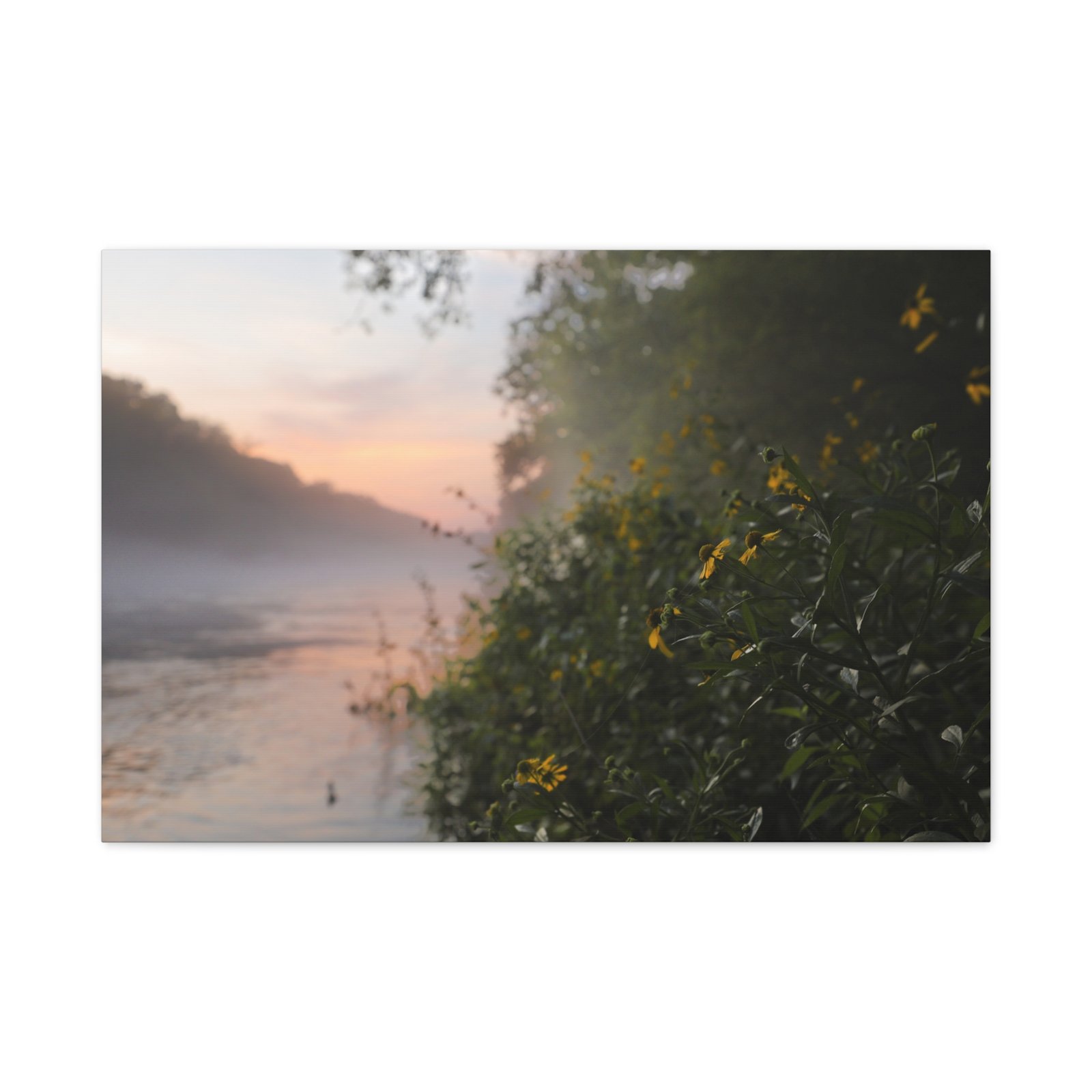 Wild Flower Sunrise| Little Red River | Summer 2026 - Image 9