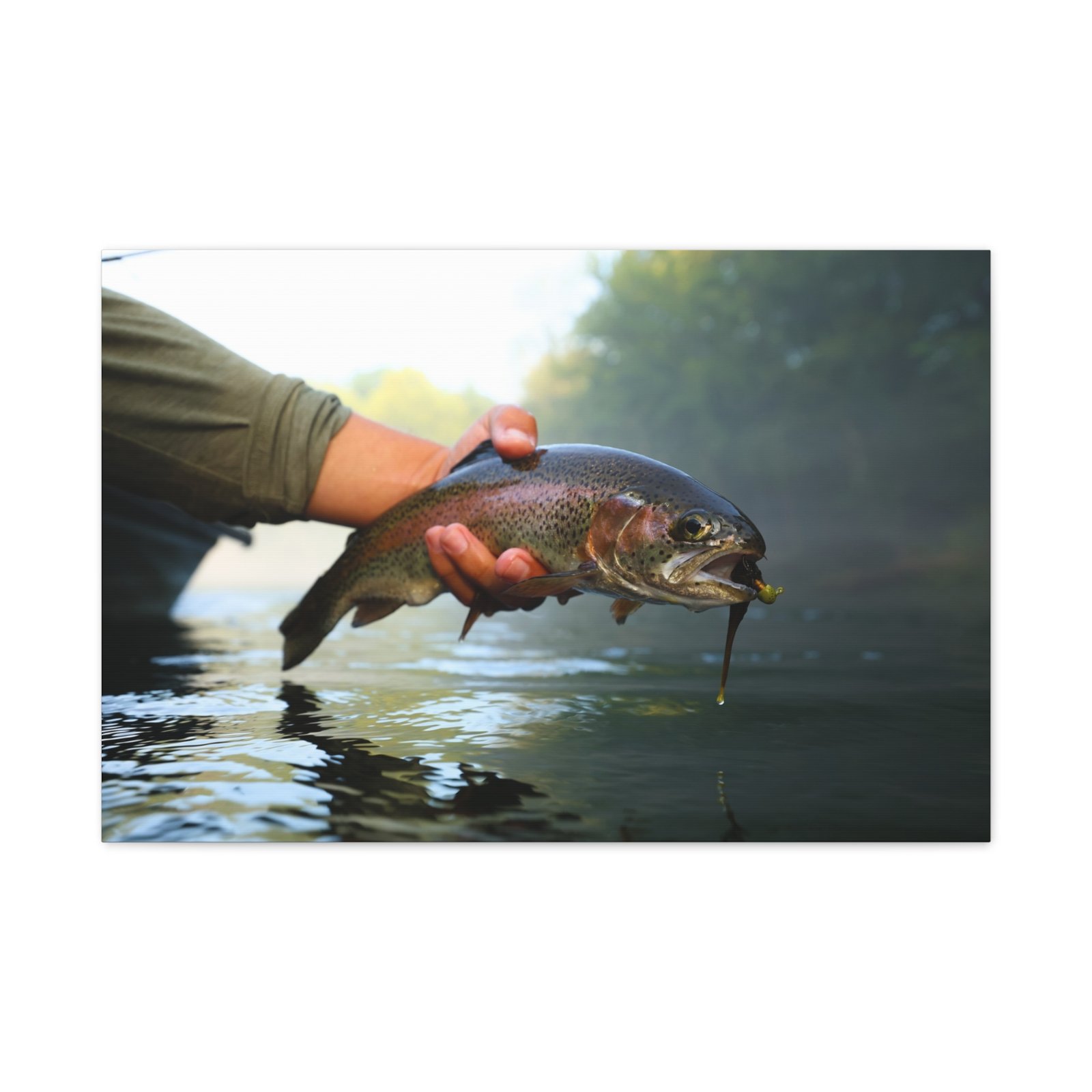 Jiggy Rainbow Trout | Little Red River | Summer 2026 - Image 9
