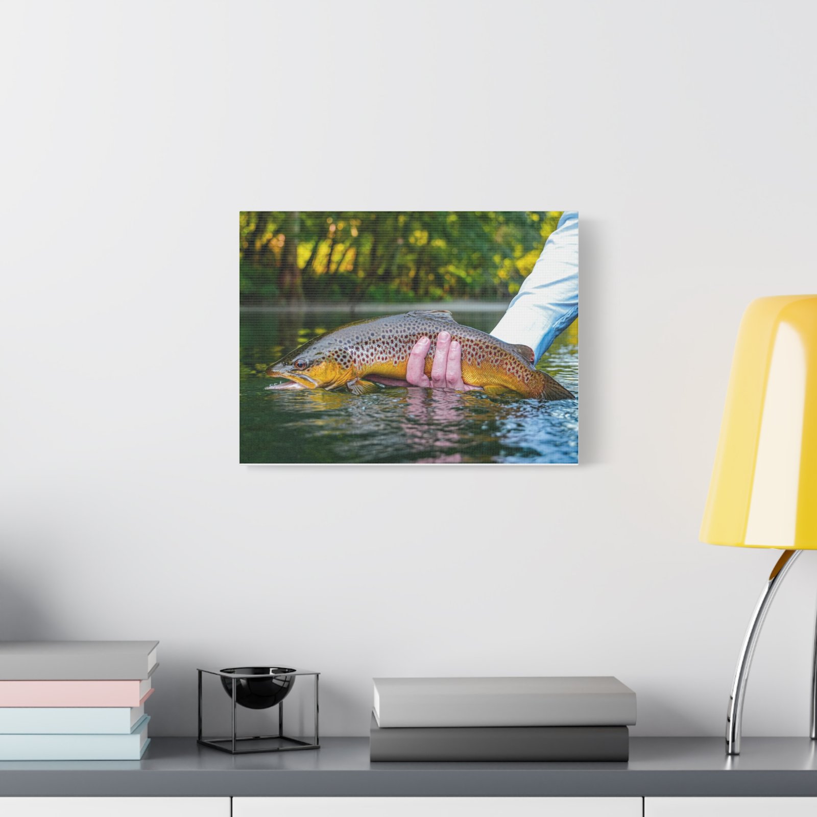 Wild Brown Trout | Little Red River | Summer 2026 - Image 3