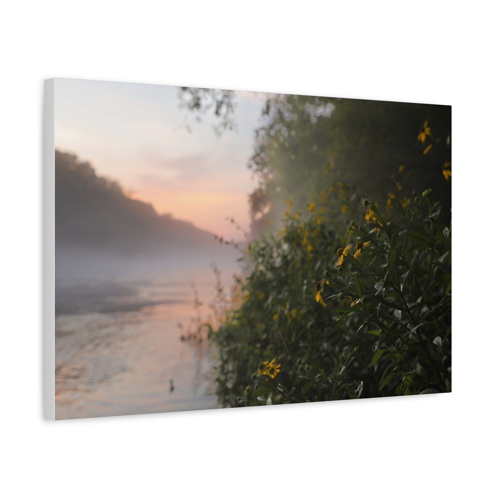Wild Flower Sunrise| Little Red River | Summer 2026 - Image 6
